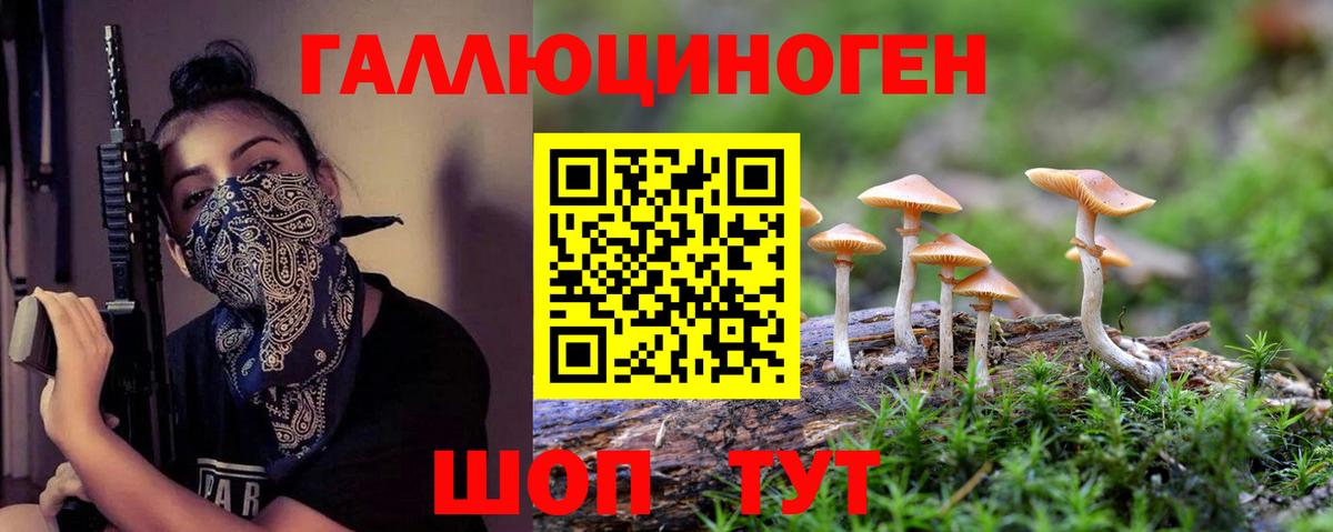 Томск  Галлюциногенные грибы Psilocybe  Галлюциногенные грибы прущие грибы  Вход с VPN 